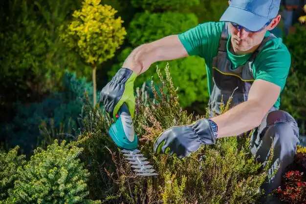 landscaping services Doe Valley